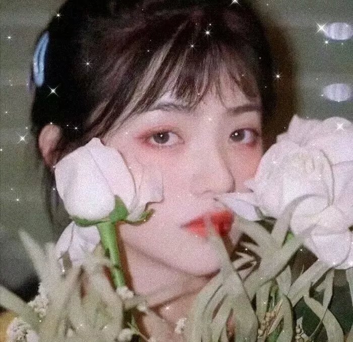 瓢虫少女第五季